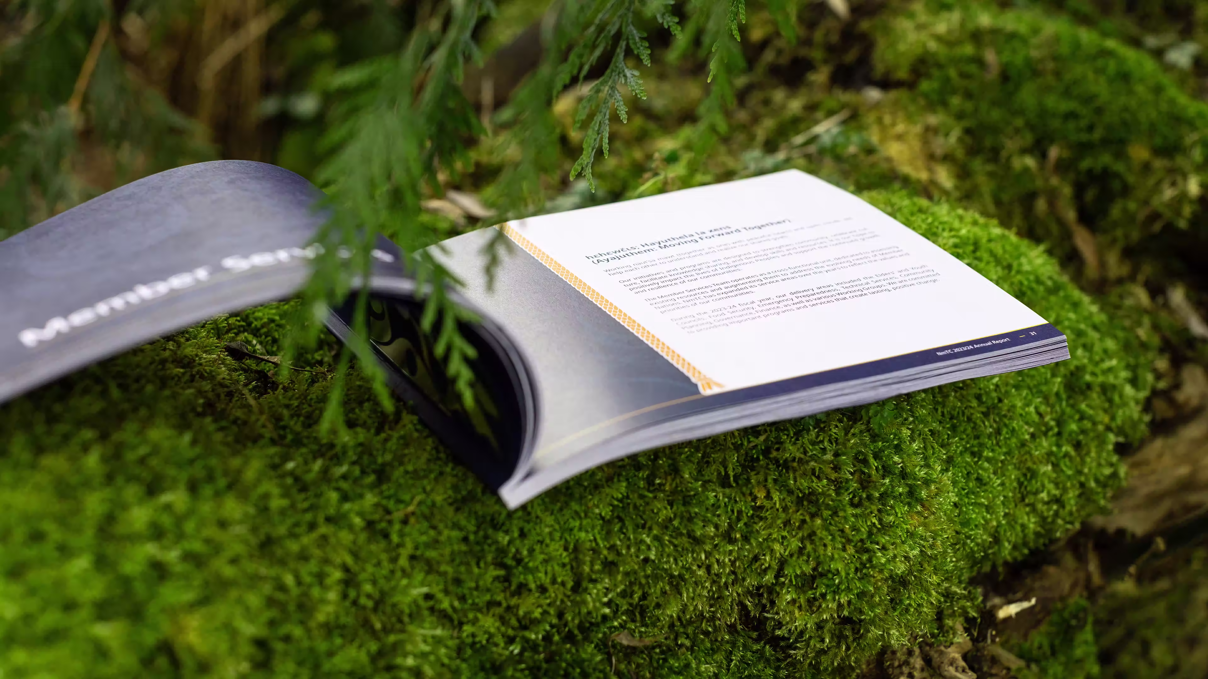 Naut’sa mawt Tribal Council